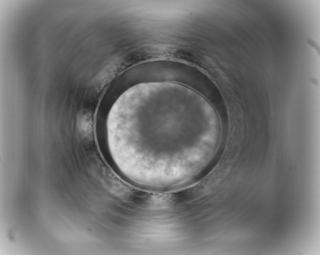 X0000099530720200805301440