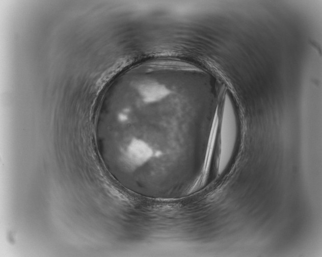 X0000099530721200805301439