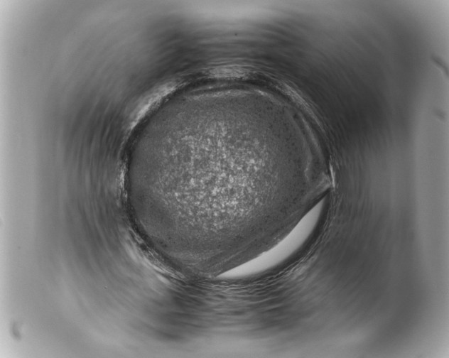 X0000099530723200805301439