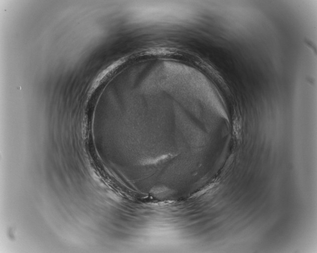 X0000099530724200805301439