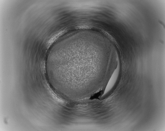 X0000099530725200805301439