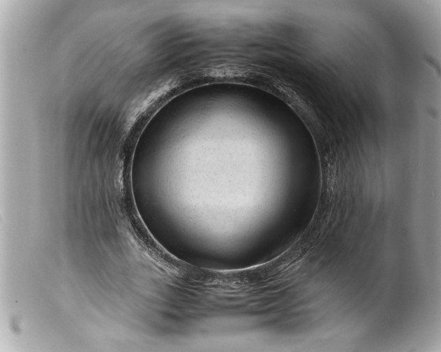 X0000099530727200805301439