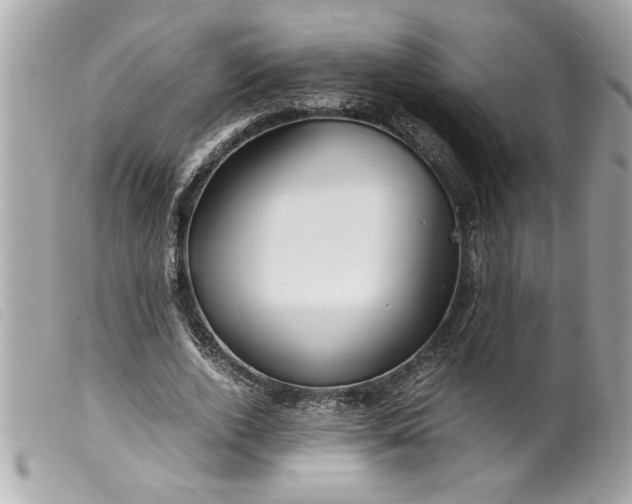 X0000099530728200805301439