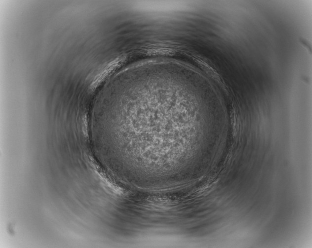 X0000099530729200805301439