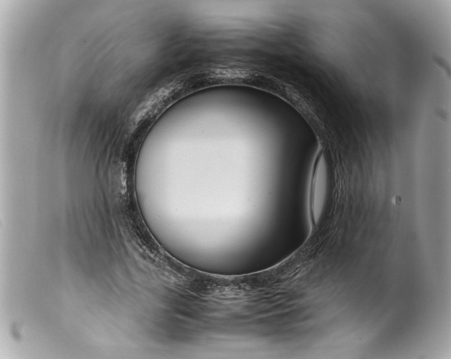 X0000099530731200805301439