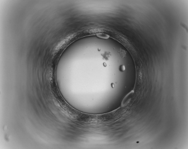 X0000099530732200805301439