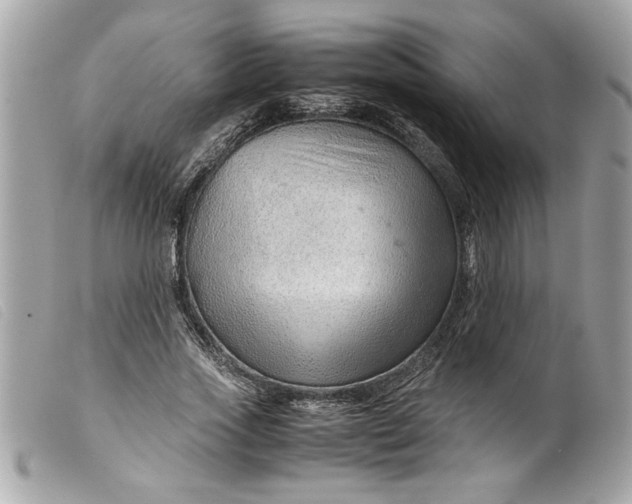 X0000099530733200805301439