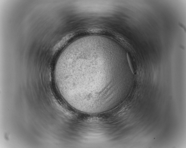 X0000099530734200805301439