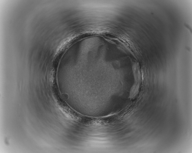 X0000099530736200805301439