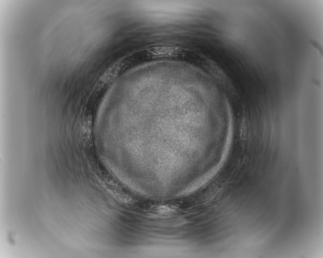 X0000099530737200805301439