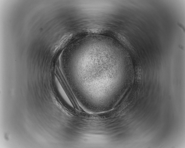 X0000099530738200805301439