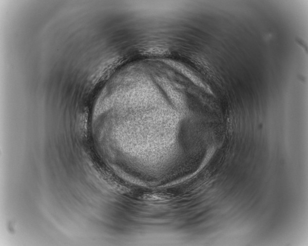 X0000099530739200805301439