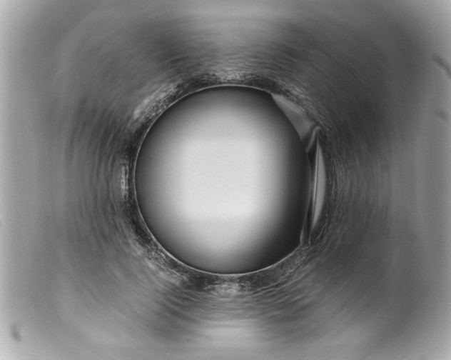 X0000099530740200805301439