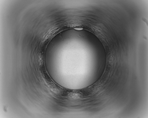 X0000099530743200805301439