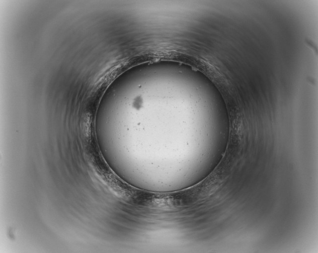 X0000099530744200805301439