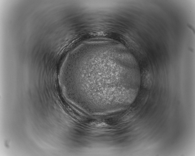 X0000099530747200805301439