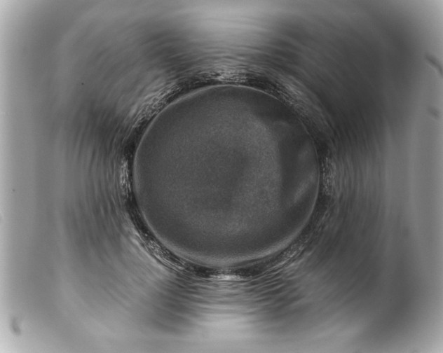 X0000099530748200805301439