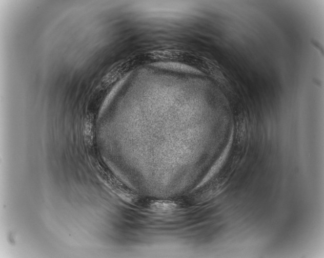 X0000099530749200805301439