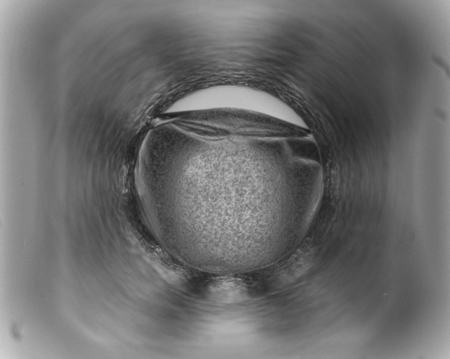 X0000099530750200805301439