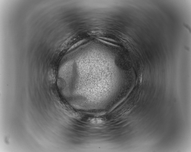 X0000099530751200805301439