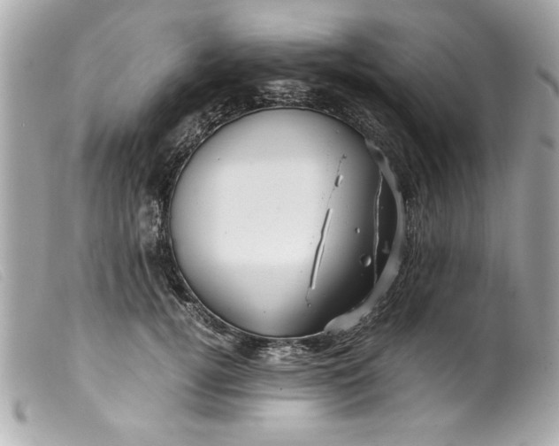 X0000099530752200805301439