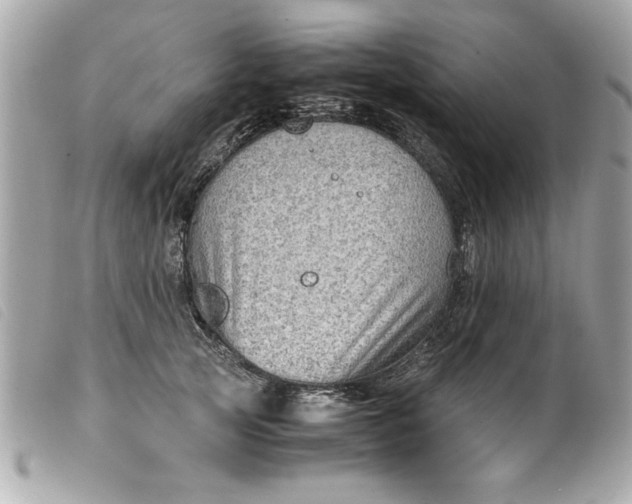 X0000099530753200805301439