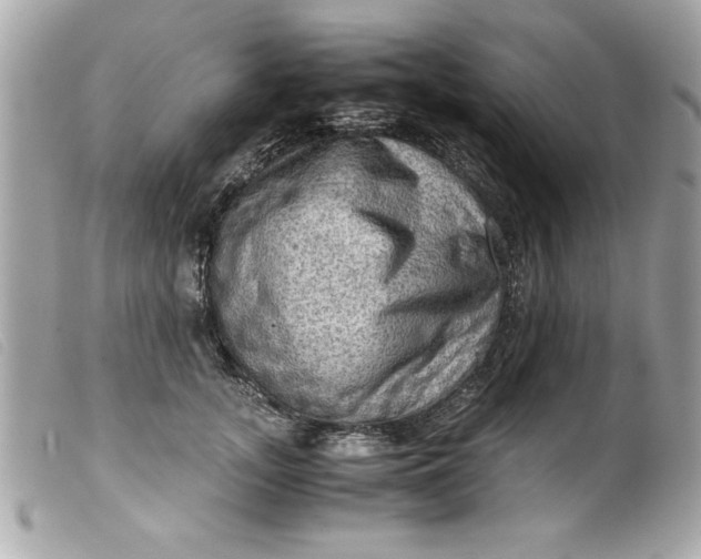 X0000099530755200805301440