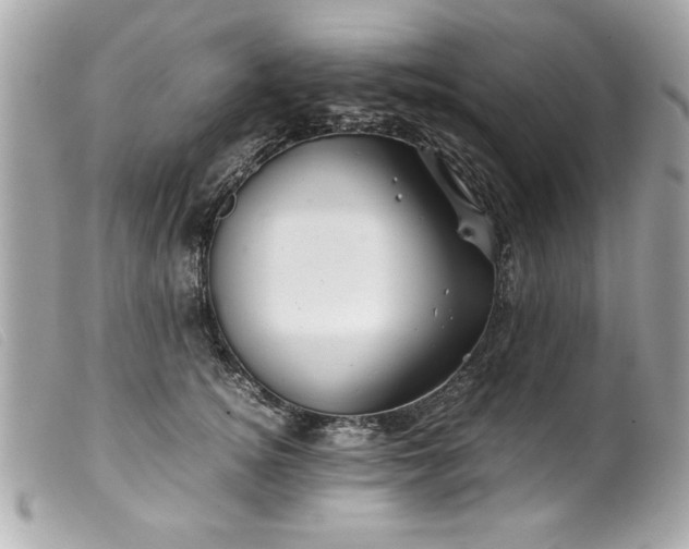 X0000099530756200805301440