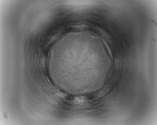 X0000099530757200805301440