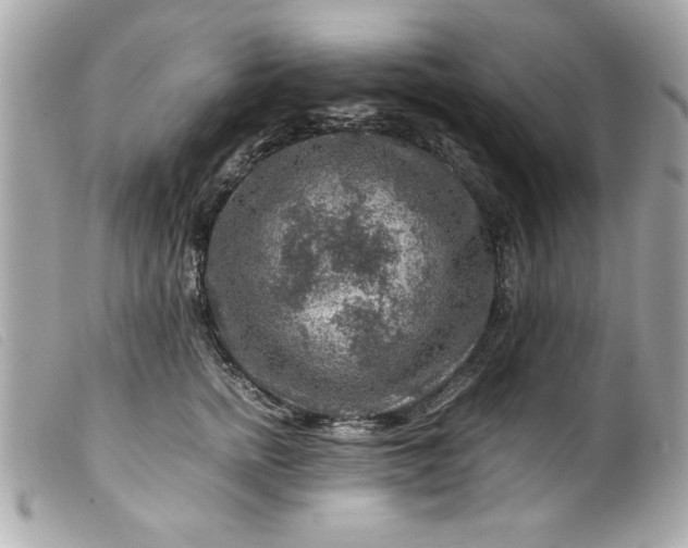 X0000099530758200805301440