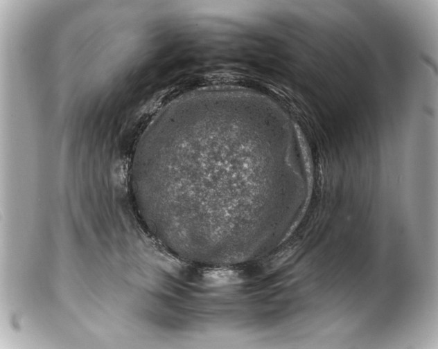 X0000099530759200805301440