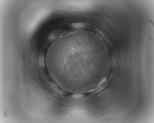 X0000099530762200805301440