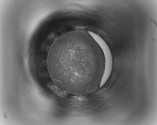 X0000099530763200805301440