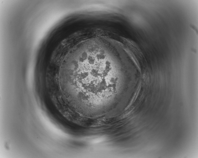 X0000099530765200805301440