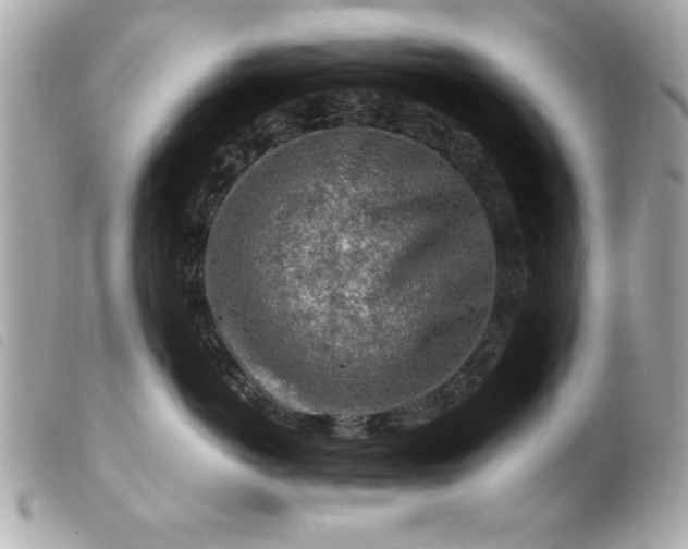 X0000099530766200805301440