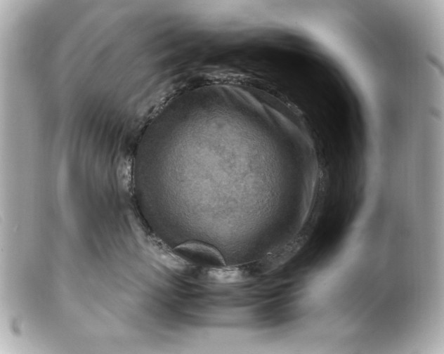 X0000099530767200805301440