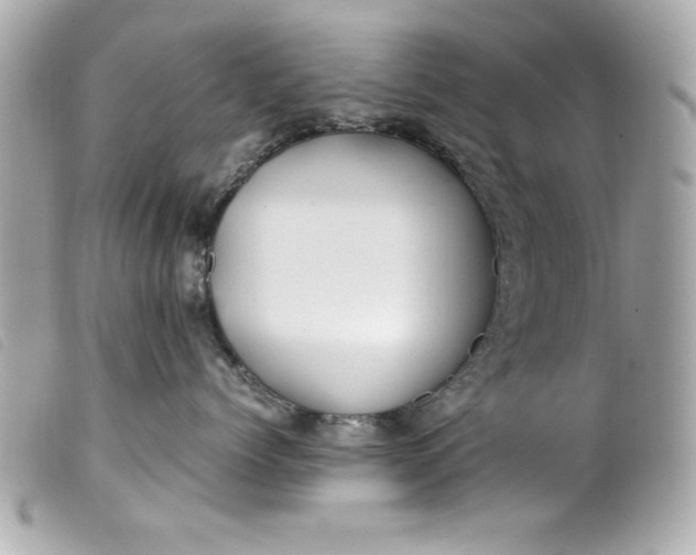 X0000099530768200805301440