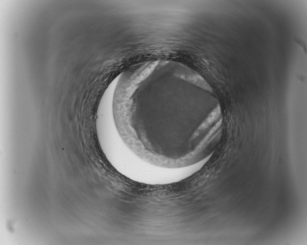 X0000099530769200805301439