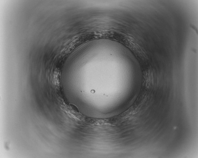 X0000099530770200805301439