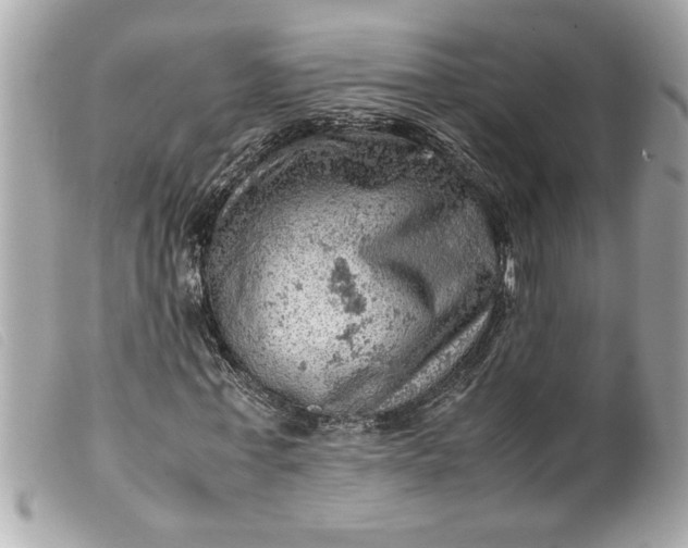 X0000099530771200805301439