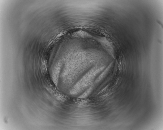 X0000099530772200805301439