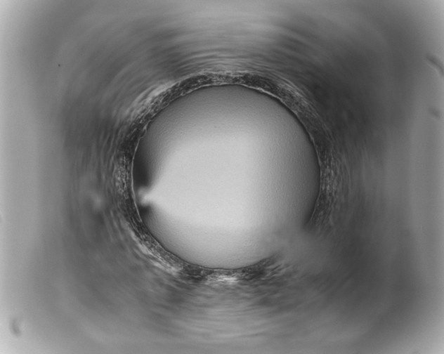 X0000099530773200805301439