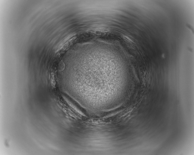 X0000099530774200805301439