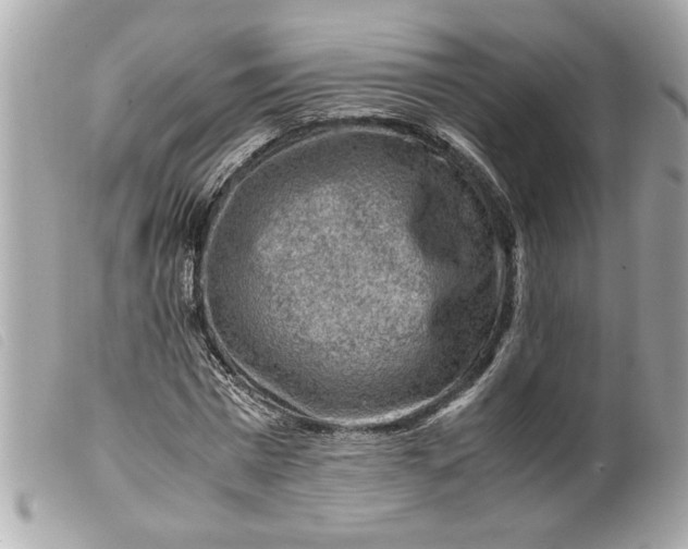 X0000099530777200805301439