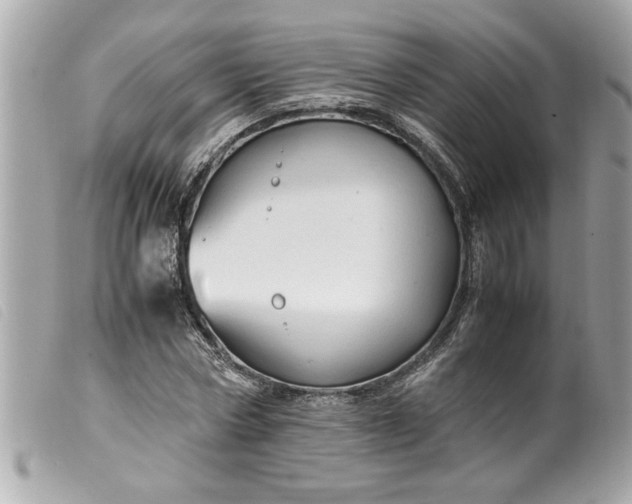 X0000099530778200805301439