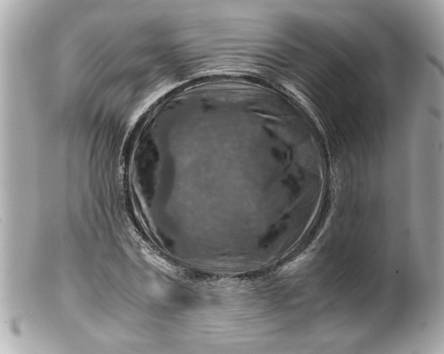 X0000099530779200805301439