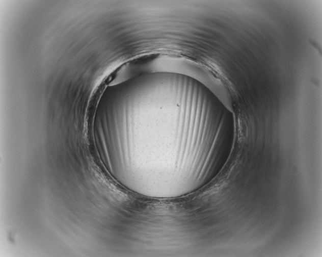 X0000099530780200805301439