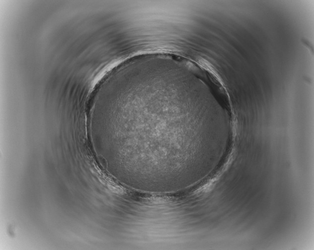 X0000099530781200805301439