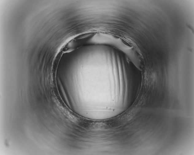 X0000099530784200805301439