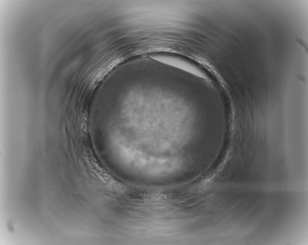 X0000099530785200805301439